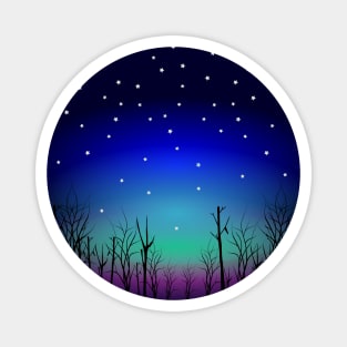Starry Nights with Aurora Magnet